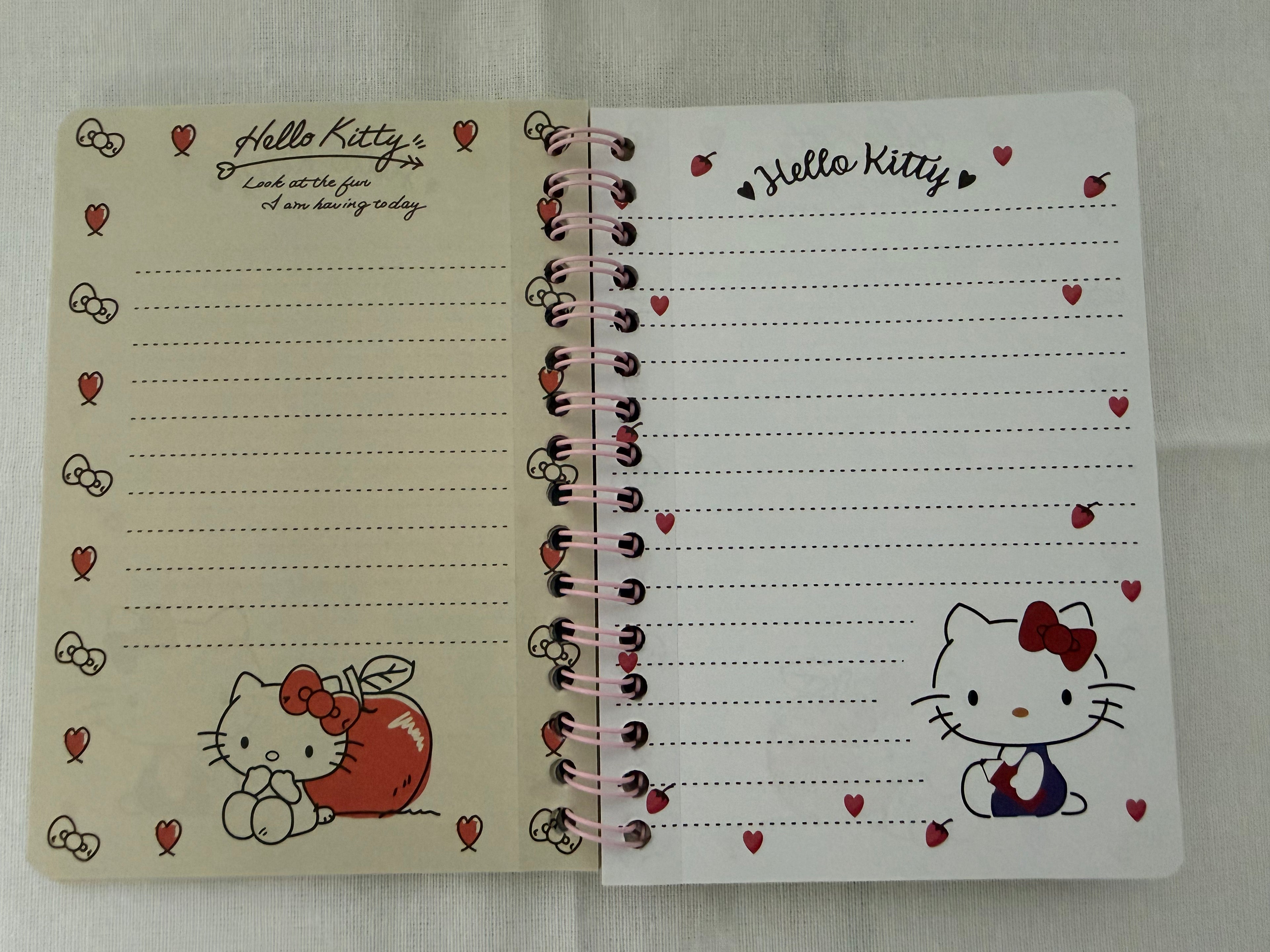Kawaii Sanrio Character Pastel Spiral Journals – Cute Anime Aesthetic Notebook